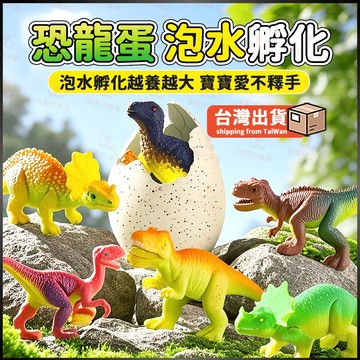 泡水孵化恐龍蛋 泡水恐龍蛋 恐龍蛋盲盒 孵化恐龍蛋玩具 恐龍蛋孵化 恐龍蛋 泡水玩具 泡水變大恐龍玩具 科學小實驗