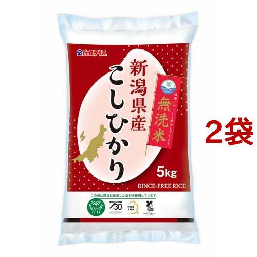 令和5年産 無洗米 新潟県産 コシヒカリ 5kg×2袋セット パールライス