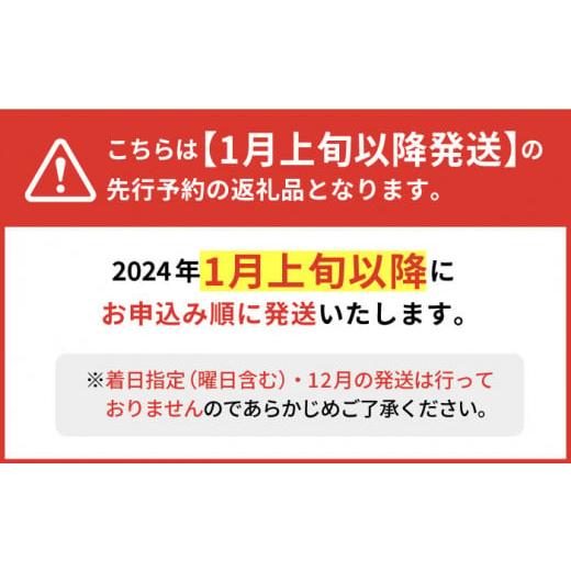 ふるさと納税 佐賀県 白石町 やみつきになる甘さ！ 松尾青果のこだわり白石れんこん 4節入り（約1.3kg〜1.5kg）蓮根 レンコン 野菜 …