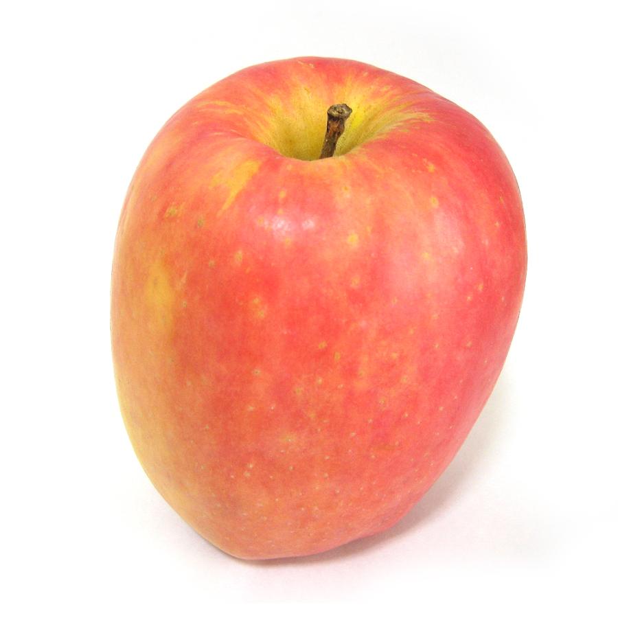 りんご 10kg 青森産 印度 ご家庭用 送料無料 食品