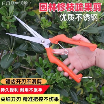 專業果蔬剪稀果剪葡萄疏花剪家用修枝剪柑橘子花椒採摘摘果剪刀 11