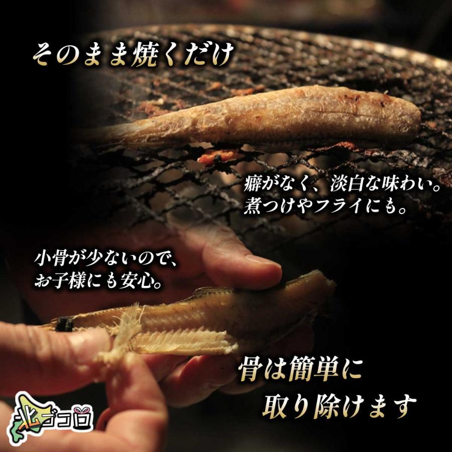 北海道産 干しこまい 200g×5袋 一夜干し 白身魚 酒の肴に 冷凍