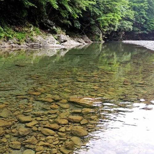 南魚沼産 桑原農産の新之助 精米 10kg（5kg×2） 桑原農産 新潟産 新潟県産 のし無料 送料無料