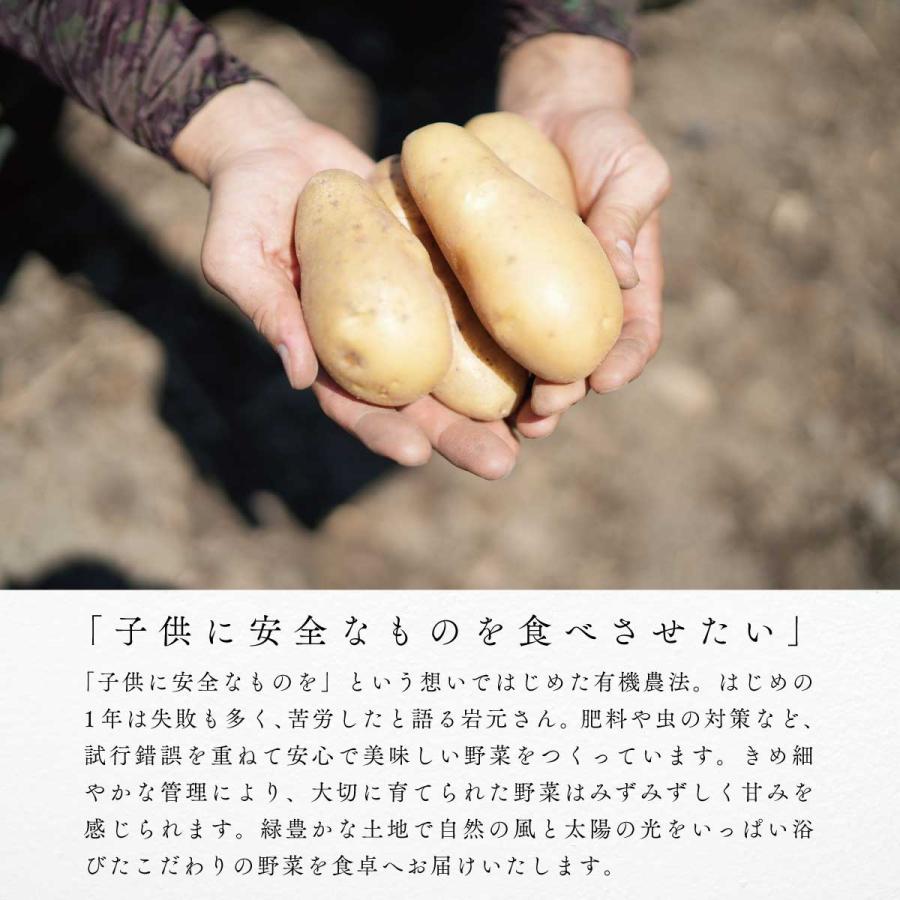 野菜セット 有機 詰め合わせ 7品目 兵庫県産  産地直送 クール便 国産 農家直送 有機野菜セット