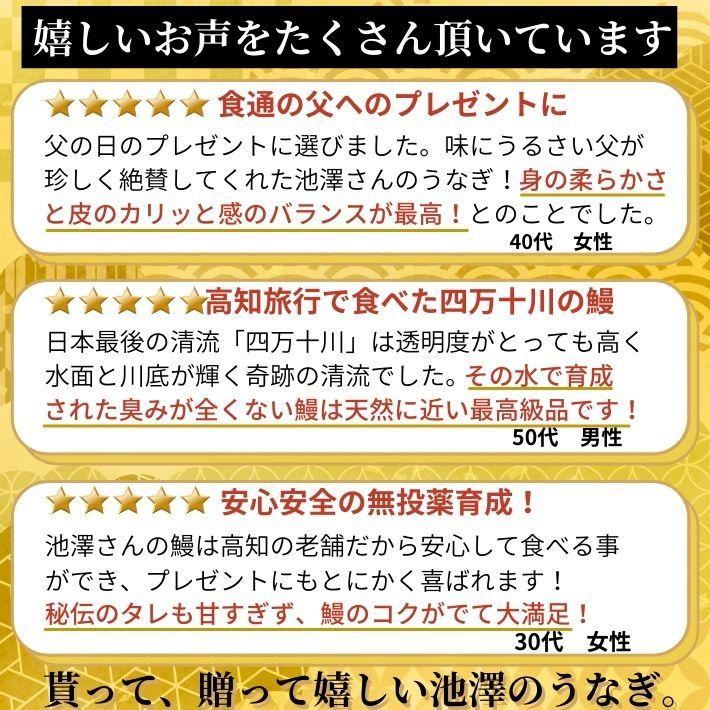 高知県産 うなぎ 蒲焼き 四万十川 仁淀川 食べ比べ 無投薬 国産  各1本  ギフト 贈答