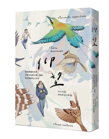 仰望 從臺灣飛向世界，串連文化與自然、時間與空間的鳥之宇宙[二手書_近全新]