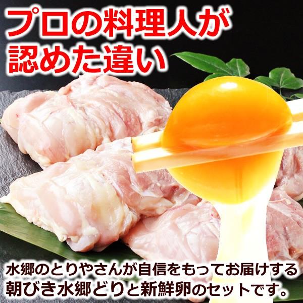 鶏肉 鳥肉 チキン 卵 水郷どり 朝びき朝どりセット もも肉2枚 胸肉2枚 ささみ2本 自然卵 放し飼い自然卵 12個詰（10個＋2個） 送料無料