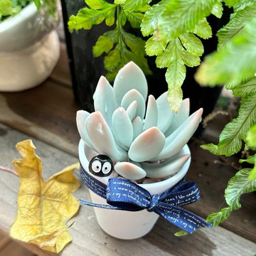 多肉下午茶 黏土 手作 藍粉筆