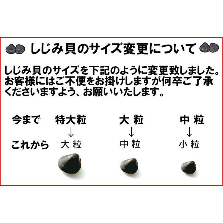 しじみ 十三湖 青森県産 中粒 冷凍 しじみ貝 200g×5パック（1kg入り） お中元 御中元 2023