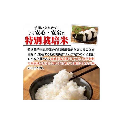 ふるさと納税 鹿児島県 伊佐市 C0-09 令和5年産 新米 特別栽培米 伊佐米永池ひのひかり(計18kg・3kg×6ヶ月)