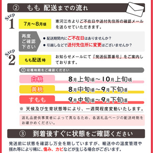 有機肥料栽培 白桃 2kg（5～9玉） 秀品 品種おまかせ 山形産 2024年産 令和6年産 山形県産 　012-B-AF007