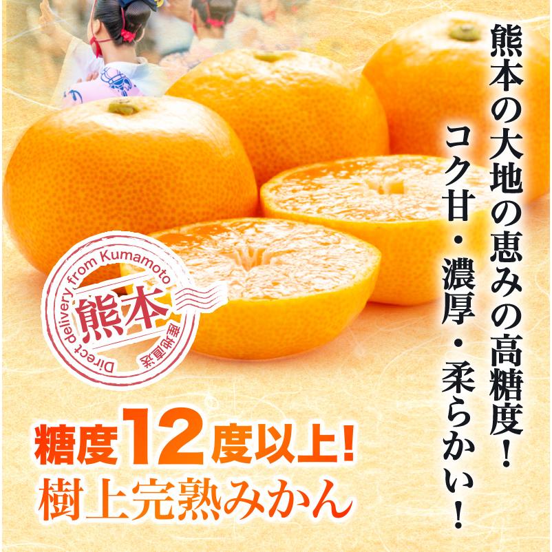 みかん 熊本県産 早生 秀品みかん 12月出荷 予約 味いち小玉みかん 3kg 2S 3Sサイズ 糖度12度以上 熊本産 産地直送 送料無料 S常