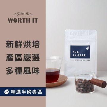 WT.COFFEE 單品咖啡豆 半磅裝咖啡 美式咖啡 精品咖啡 手沖咖啡