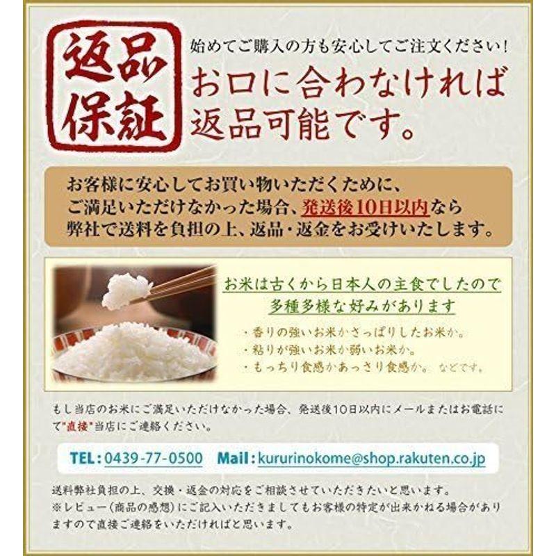 ふさこがね 令和4年産 千葉県産 玄米 10kg Brown rice 選別済