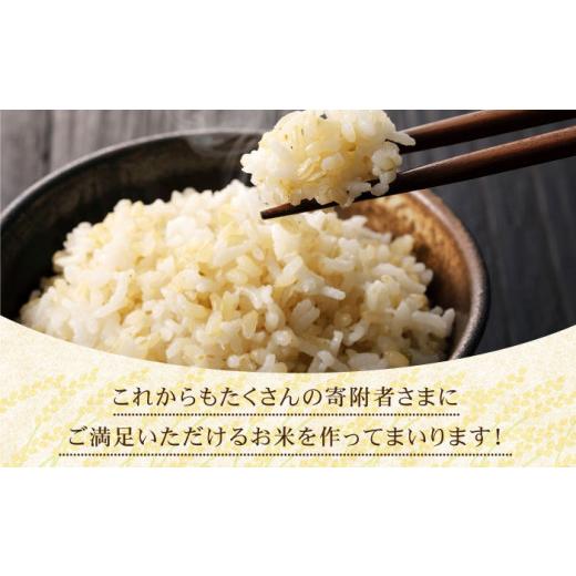 ふるさと納税 佐賀県 江北町 令和5年産 新米 さがびより 玄米 20kg 10kg×2袋  [HAC005]