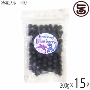 冷凍ブルーベリー200g×15P 堀うち農園 無農薬栽培 安心 安全