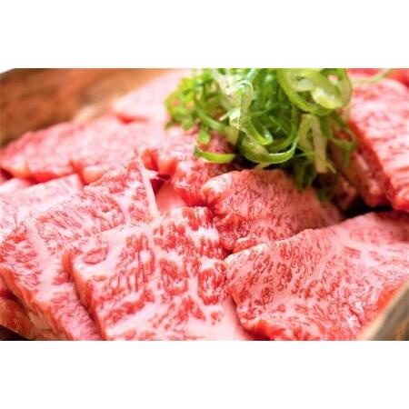 ふるさと納税 訳あり！博多和牛焼肉切り落とし(肩ロース・バラ)500g 福岡県大川市