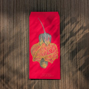 婚禮生日新年紅包 / 紋瓣懸鈴花插圖 / 親筆手繪
