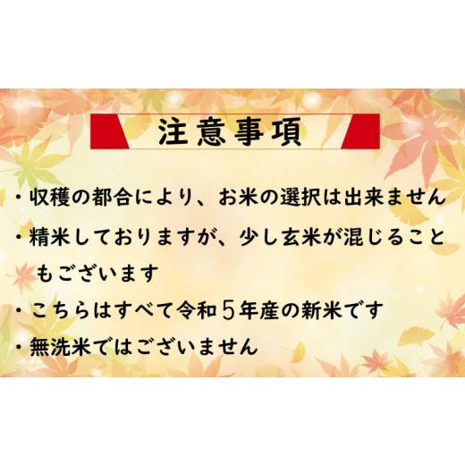 ふるさと納税 徳島県 阿波市 こしひかり ひのひかり 新米 お米  精米済 令和5年産 20kg 白米