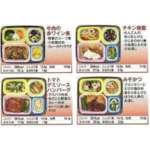 冷凍おかずセット★送料無料♪　健康美膳 7食　肉のおかずセット(N-3)　7食分　 冷凍総菜