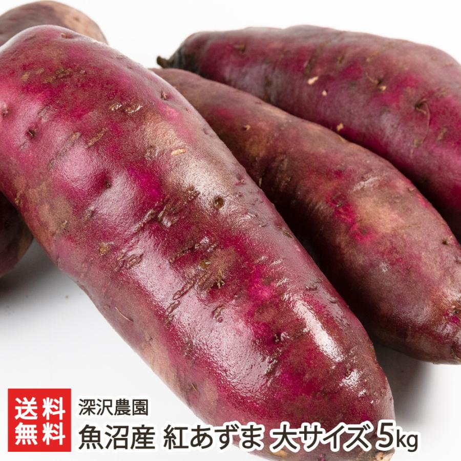 種子島産 密たっぷり有機JAS安納芋 MIXサイズ10kg