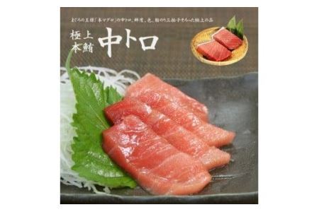 本マグロ中トロ300g　解凍レシピ付　1サクずつ真空包装  脂の甘みと濃厚赤身が絶妙なバランス