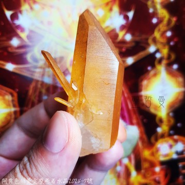 土桑精品：阿肯色州黃金療癒者水晶2024-7號 ~喜悅，基督意識，平衡陰陽，疏通堵塞能量