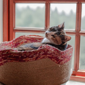 紗麗黃麻貓咪籃_公平貿易