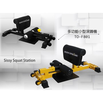 【德旺健身器材】 TO-F801 多功能小型深蹲機 娘娘蹲 SissySquat