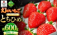 いちご 幻のイチゴ とちひめ 600g 栃木県 数量限定 希少品種 栃木県 いちご日本一のまち 真岡市