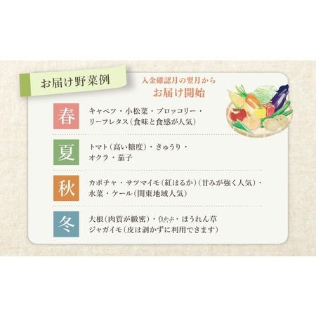 ふるさと納税 野菜 詰め合わせ 定期便 よしむら農園 オーガニックおまかせ野菜セット 2回定期便 野菜 詰め合わせ オーガニック おまかせ セット .. 香川県丸亀市