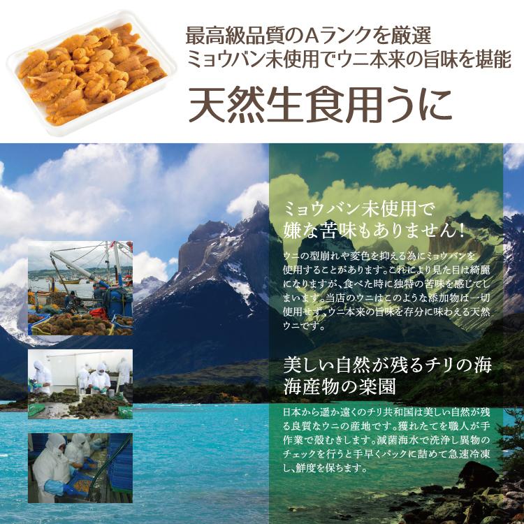 お歳暮 海鮮丼 お歳暮 ウニ・カニ・いくら たっぷり海鮮丼セット 約4杯分 お歳暮 刺身 小分け 海鮮丼の具 魚介類 水産加工品 送料無料