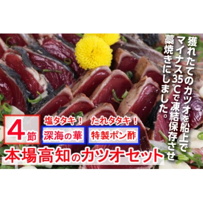 土佐流藁焼きかつおタタキ２種（塩・タレ）食べ比べ４節セット かつお