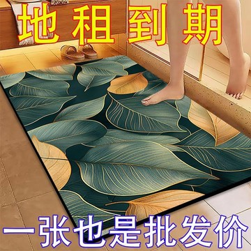 浴室地墊灰色門墊吸水衛生間門口防滑吸水速干耐臟墊家用 海鷗