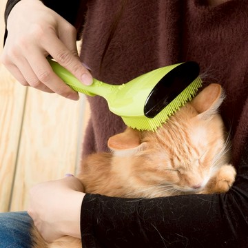 MM專利點點按摩梳(綠色款-一般毛量)貓狗都可使用