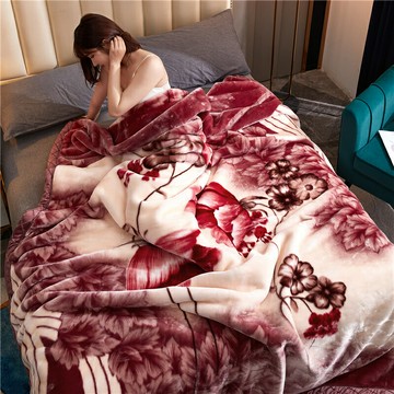 毯子 雙層加厚保暖冬季單人被子 學生宿舍午睡毯 蓋毯禮品毯【不二雜貨】