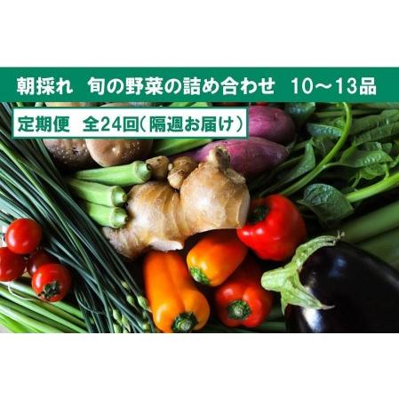 ふるさと納税 『定期便 全24回』朝採れ旬の野菜の詰め合わせ 高知県南国市