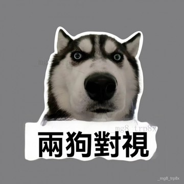哈士奇錶情兩狗對視車貼搞笑錶情包機車後尾裝飾劃痕貼反光防水貼 5RTW