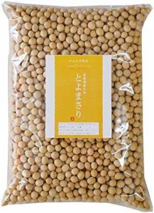 中山大吉商店 北海道産大豆 とよまさり1kg