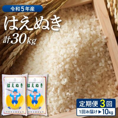 ふるさと納税 河北町 ※2024年5月後半スタート※はえぬき 30kg定期便(10kg×3回)山形県産