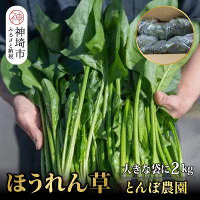 ふるさと納税 神埼市 ほうれん草 2kg バラ詰め(大きな袋に2kg)(H091111)