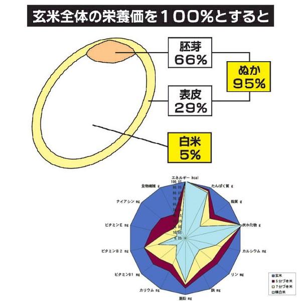 新米 米 30kg 送料無料 精米選択可能 農薬7割減栽培 1等米 減農薬米 コシヒカリ玄米 産地：丹波篠山産 産年：令和5年 生産者：田渕真也