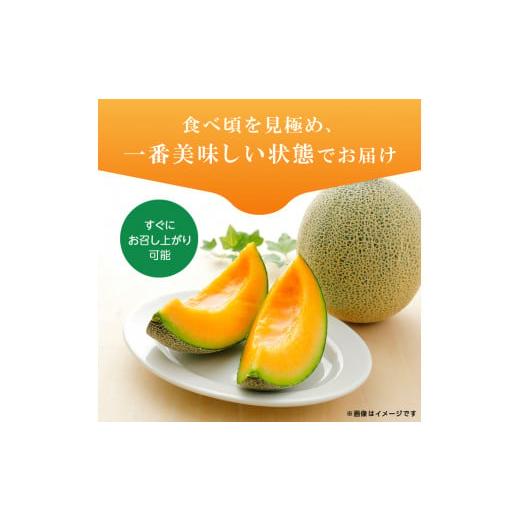 ふるさと納税 茨城県 鉾田市 完熟収穫ならではの旨味「ほこたメロン／赤肉」1箱（2個入）