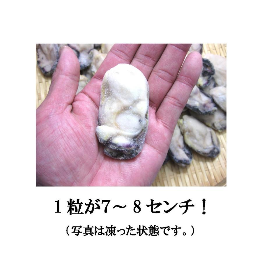 牡蠣 かき カキ 冷凍 特大 2LからLサイズ 1kg 剥き身 広島産