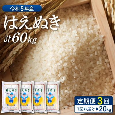 ふるさと納税 河北町 ※2024年4月後半スタート※はえぬき 60kg定期便(20kg×3回)山形県産