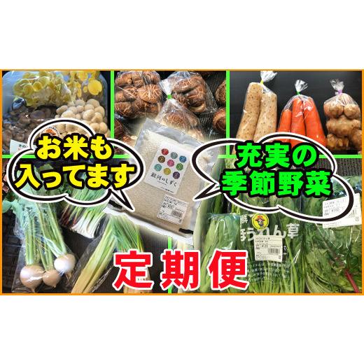 ふるさと納税 岩手県 雫石町 産地直送 季節の野菜とお米 詰め合わせ 3ヶ月 定期便 ／ 野菜 米 セット