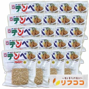 ヤマク食品 テンペ 100g×20袋セット 大豆 発酵食品