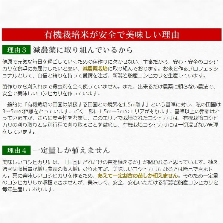 結婚祝い新米夫婦へ 人気 無洗米 極上 有機栽培米 こだわり米 コシヒカリ 5kg 両親 祝い 結婚 お返し 記念品 プレゼント 贈答品 新生活