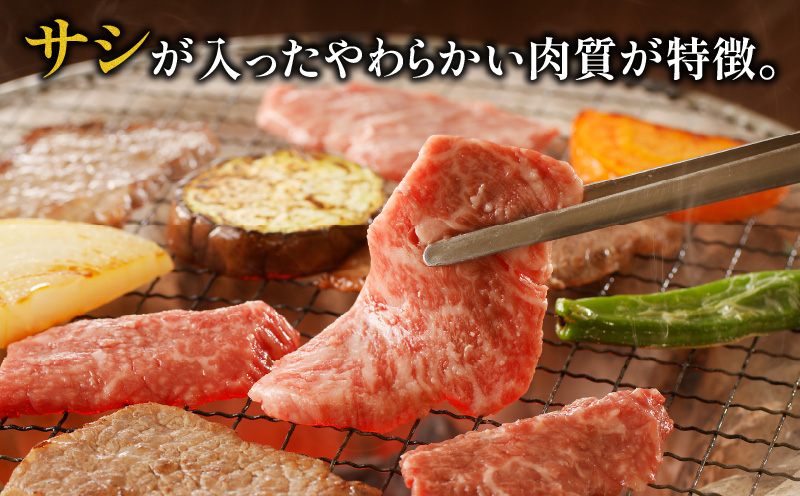 《年内発送》宮崎牛 カルビ 焼肉 500g_M243-004-2309-dec3