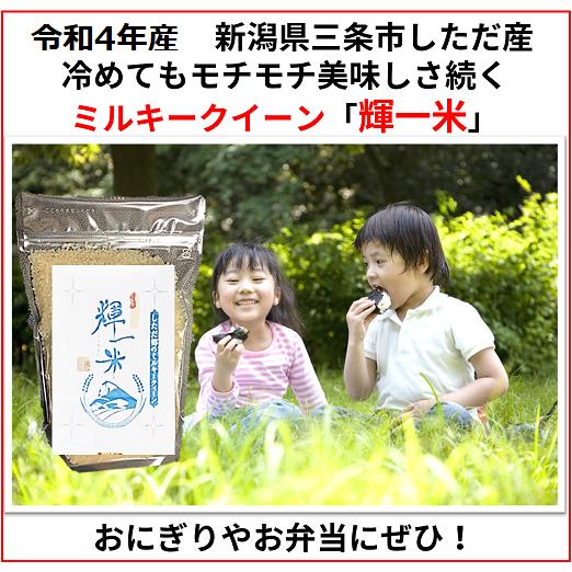 新潟ミルキークイーン白米900g　令和5年産新米　新潟県三条市旧しただ村産　輝一米　ミルキークイーン100%　冷めてもモチモチ美味しい！